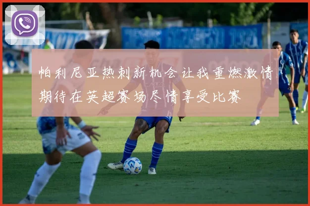 帕利尼亚热刺新机会让我重燃激情期待在英超赛场尽情享受比赛