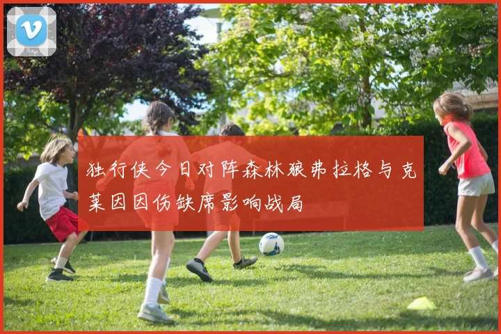 独行侠今日对阵森林狼弗拉格与克莱因因伤缺席影响战局