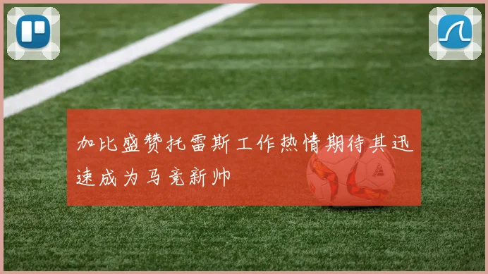 加比盛赞托雷斯工作热情期待其迅速成为马竞新帅