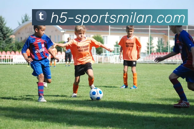 米兰体育服务体系