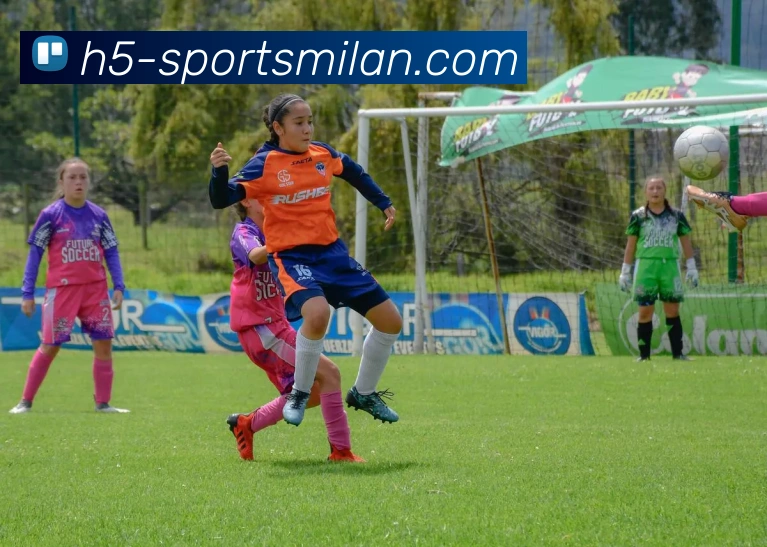 多媒体互动体验