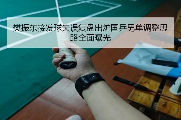 樊振东接发球失误复盘出炉国乒男单调整思路全面曝光 - MILANSPORT